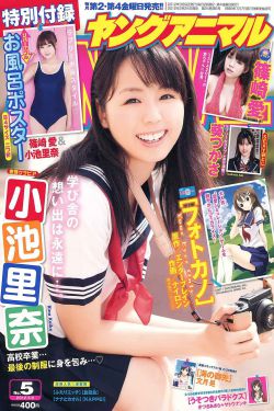 爱恋2015